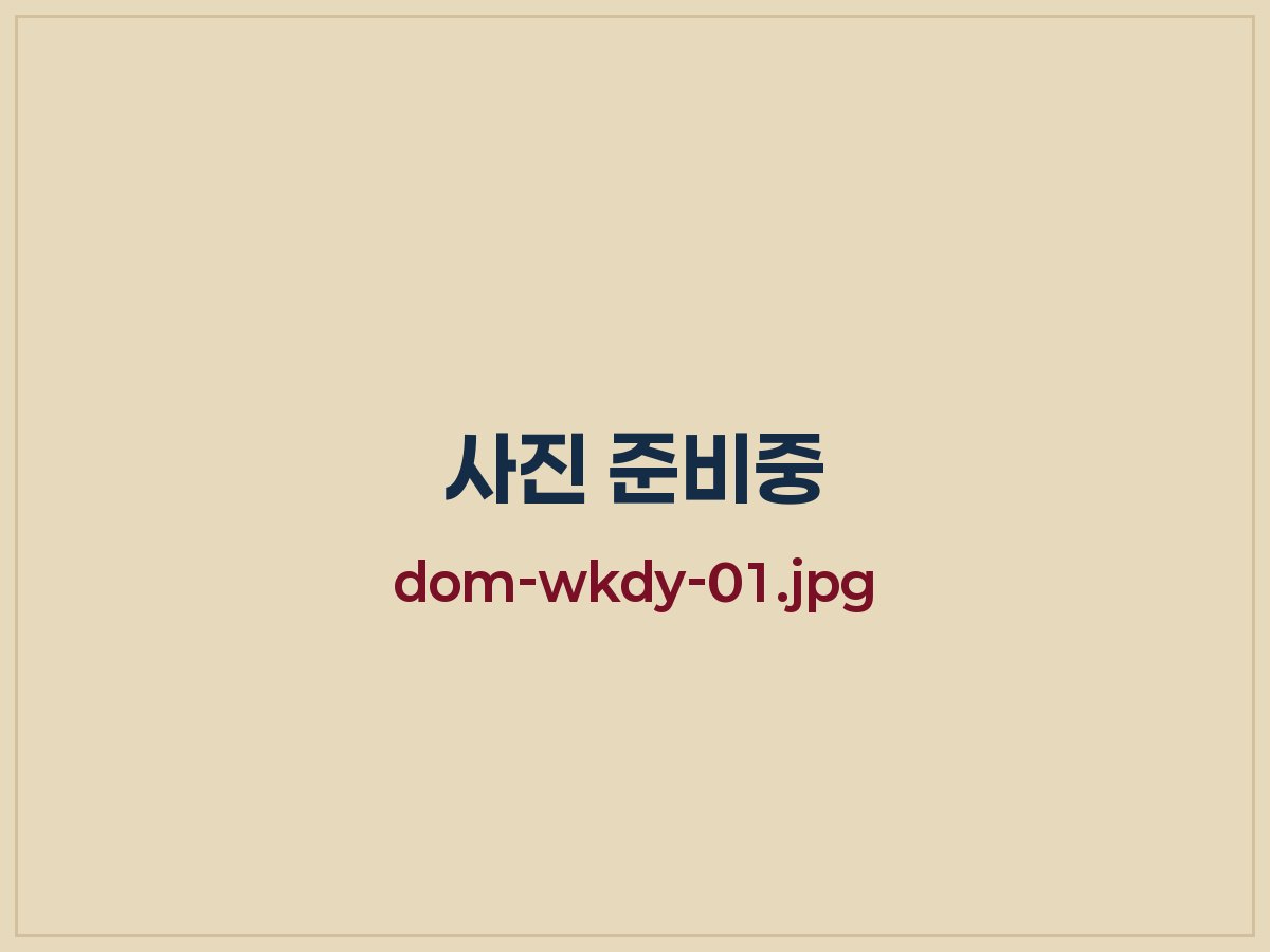 모닝보카