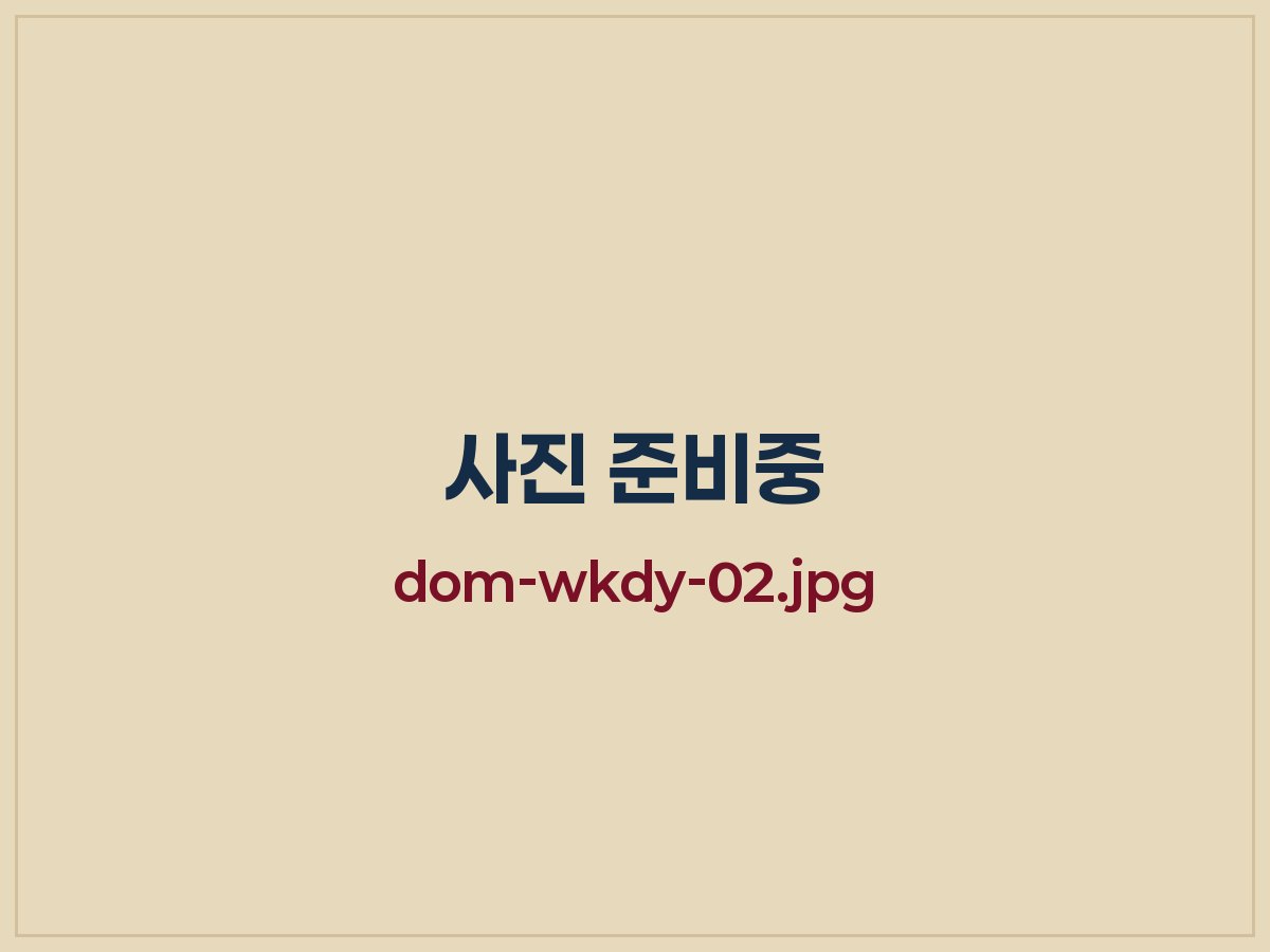 원어민 선생님 수업
