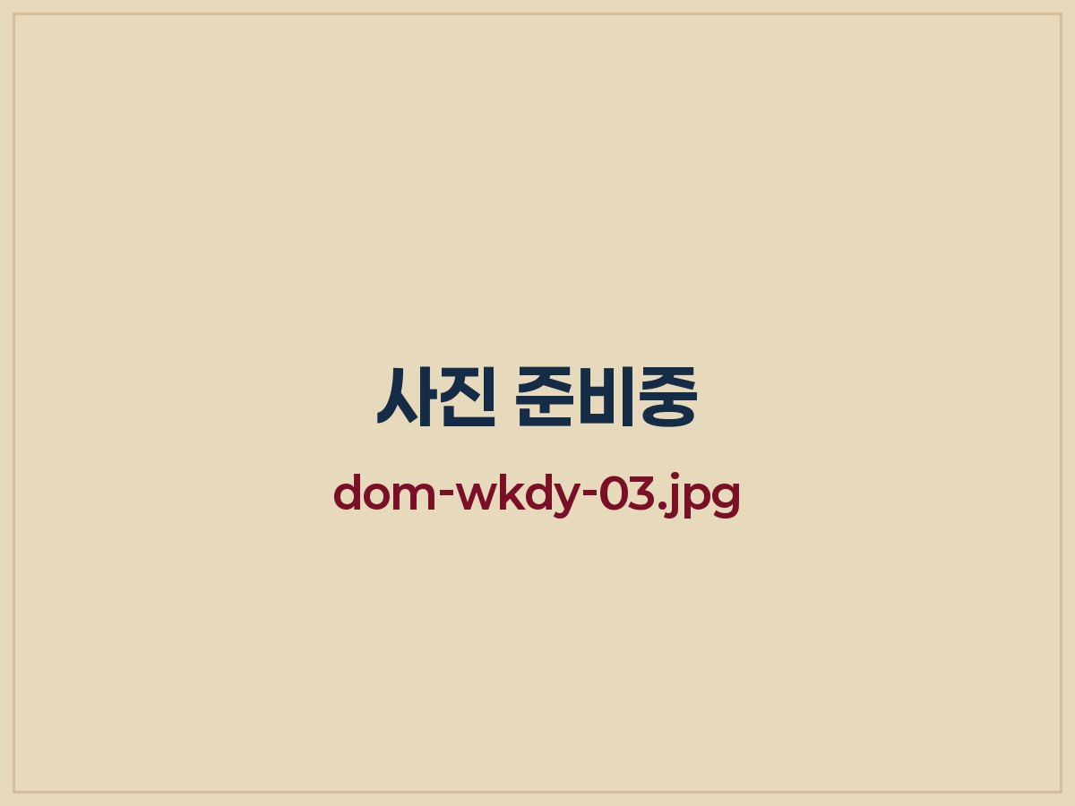 수학 집중 수업